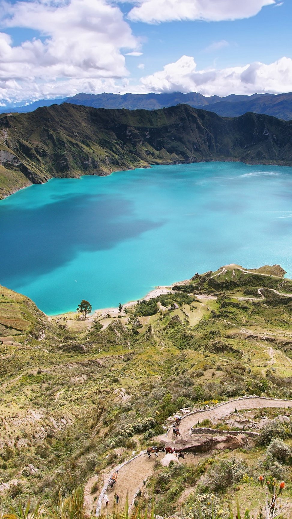 0ccb20fbe6657bf47e36ec6a7a4b5be5b722696b36cd827a01ea5f34ce0709ed_-_Kopie