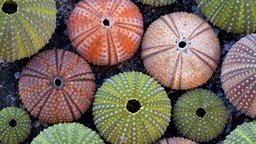 b95c6db27917b8397199832e6d0c96800e9486114b2f6ff879a98603c0911b04